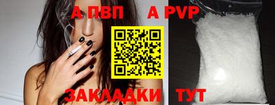 твердый Гатчина