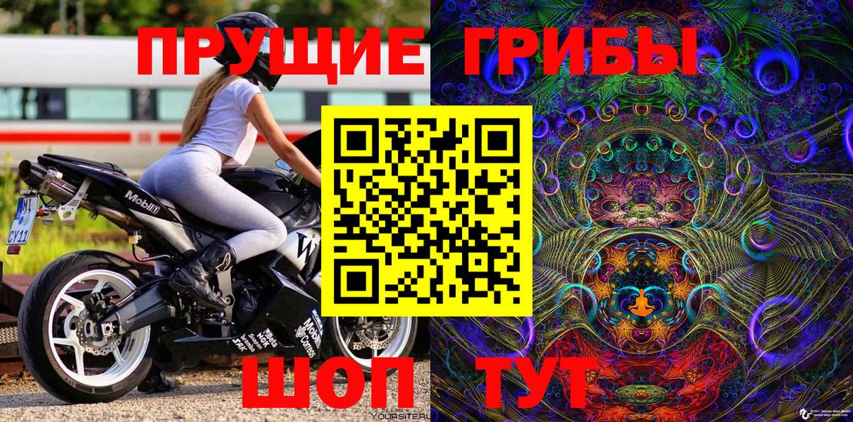 Заречный  Псилоцибиновые грибы Cubensis  Вход с VPN  Псилоцибиновые грибы мухоморы 